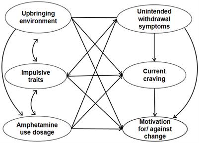 The motivation against change in male methamphetamine users in the compulsory detoxification setting